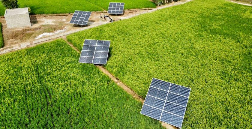 Constitutional Court Bulgaria exemptions renewables agricultural land