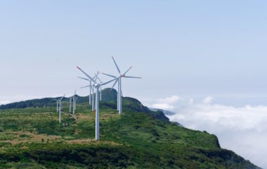 Citizens and activists in bulgaria oppose wind farm project that would destroy forest