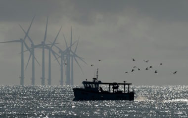 Major offshore wind projects shelved in another blow to industry