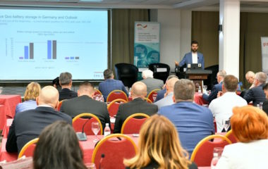 Regional Power Sector Exchange Western Balkans disitribution system operator dso grids ohrid giz