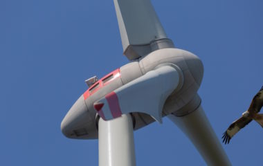 Wind farm project Cyprus rejected protect birds habitats