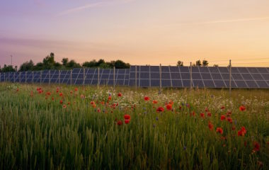 Foreign renewable energy investors remain committed to Romania as large plants coming online