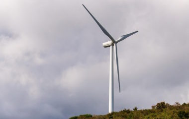 IBEX Bulgaria first guarantees of origin auction