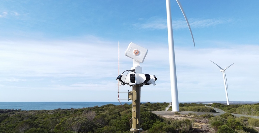 Photo: Identiflight (Ryan Luttrell / Oikon)