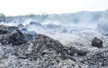 ash removal kragujevac district heating