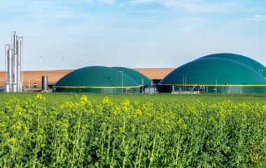 Romania preparing to include biomethane in gas grid