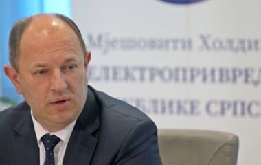 bih power utility elektroprivreda republike srpske luka petrovic loss