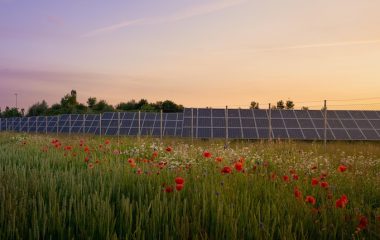 SANY International large PV BESS project southwestern Romania