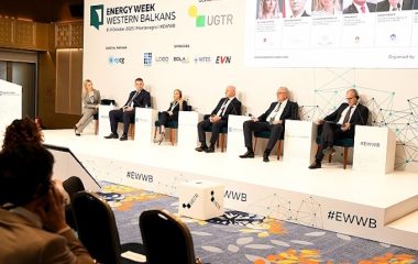 bih republic of srpska cbam petar djokic