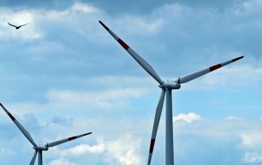 gvozd 2 wind farm birds