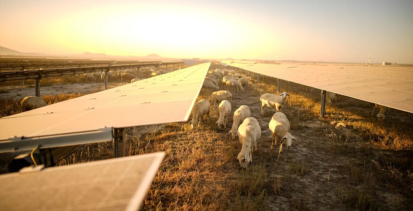 One of biggest PV parks on Earth expanding to 1 85 GW