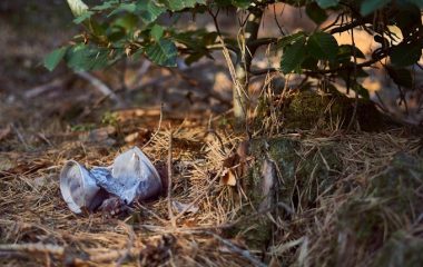 world Every Can Counts report 2025