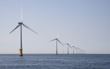 Offshore wind turbines create conditions for richer marine ecosystems