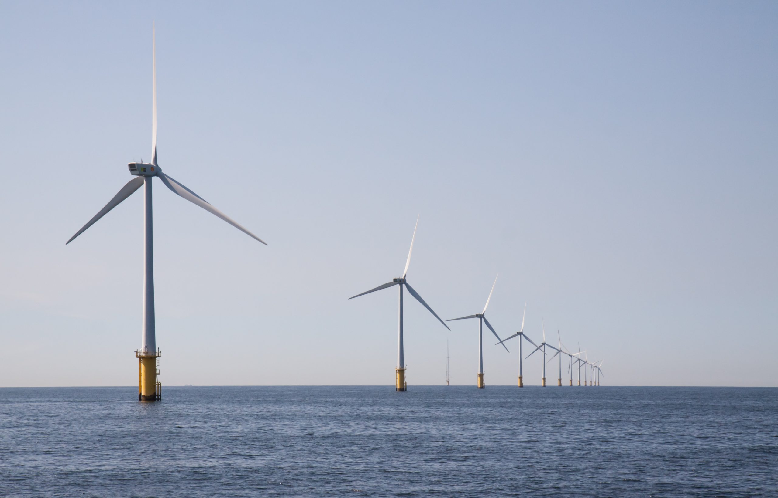 Offshore wind turbines create conditions for richer marine ecosystems