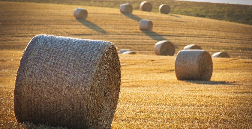 Croatia prepares first bioeconomy strategy