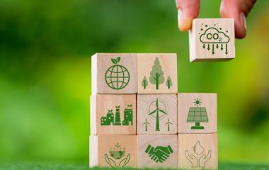 EU opens public consultations climate policy global carbon market