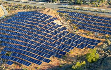 Bulgarian village fighting to protect crucial forest from solar park