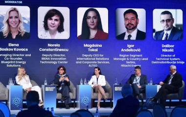 serbia eu region bef 2026 grid flexibility panel