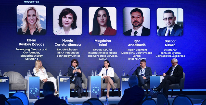 serbia eu region bef 2026 grid flexibility panel