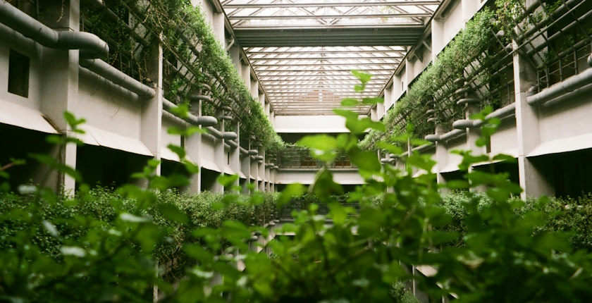 Turkey set up geothermal greenhouses Manisa totaling 200 hectares
