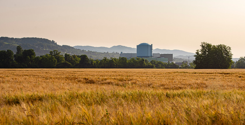 krsko nuclear power plant