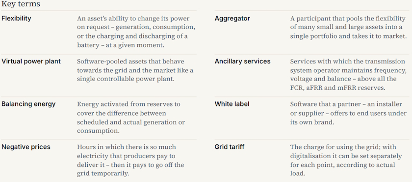 VGT energy transition digital engine flexibility producers consumers market Gregor Martinovic key terms